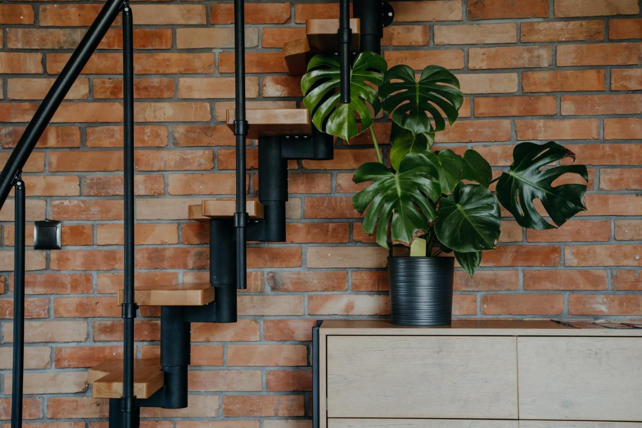 Osada Witow - Apartament „Czerwone Wierchy” 외부 사진